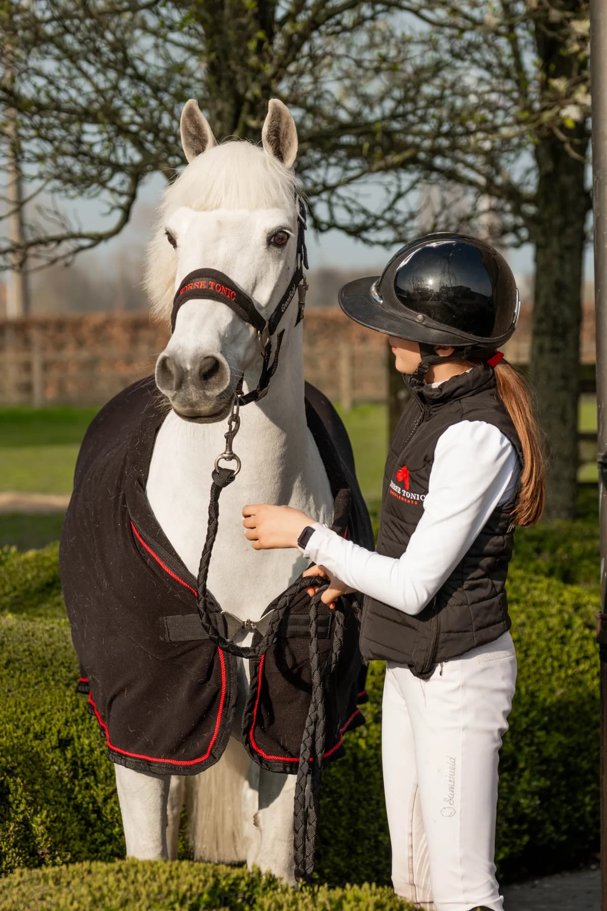 Wit paard met Horse Tonic halster en deken, ruiterhand op de hals