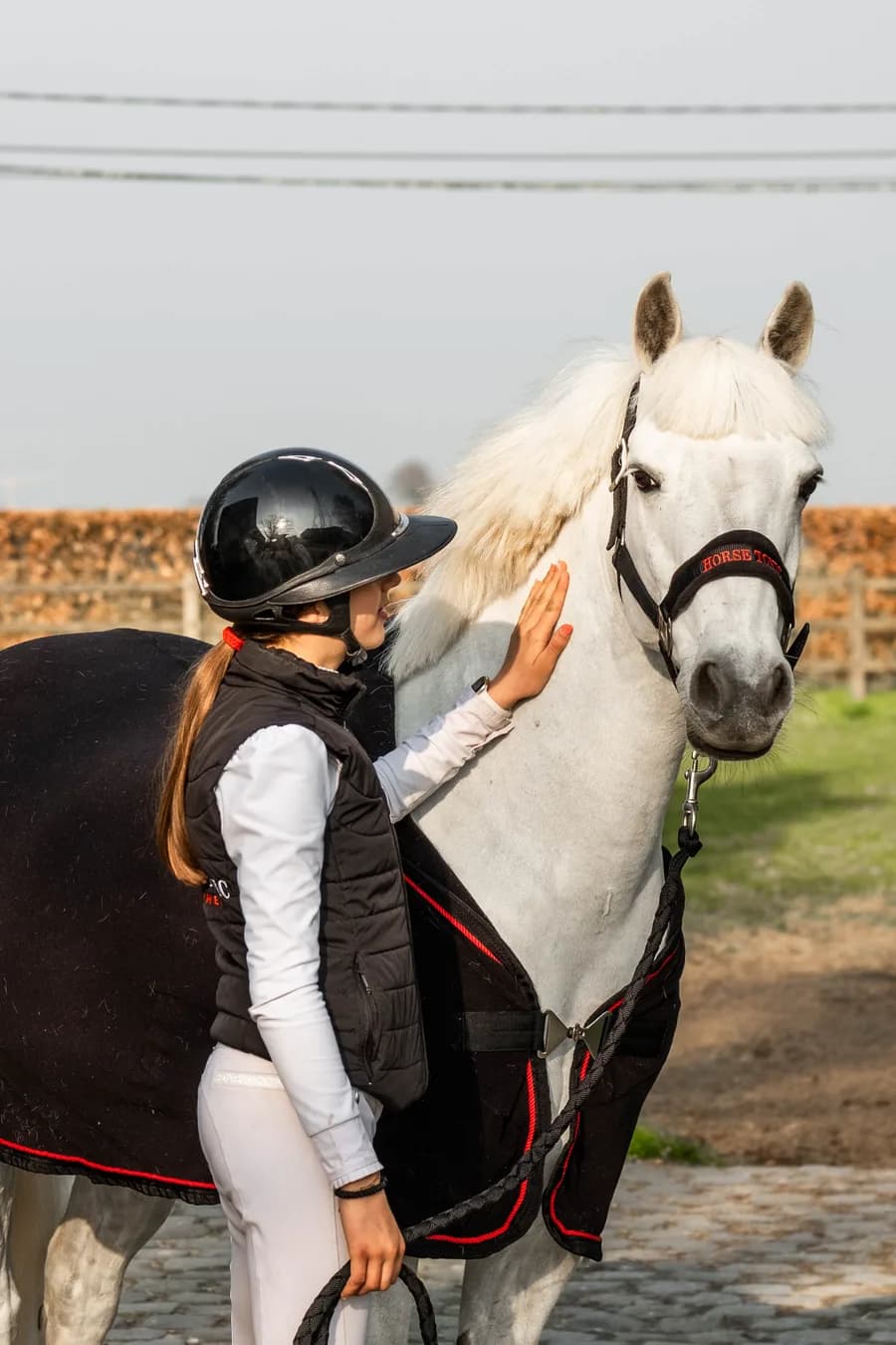 Wit paard met Horse Tonic halster en deken, ruiterhand op de hals
