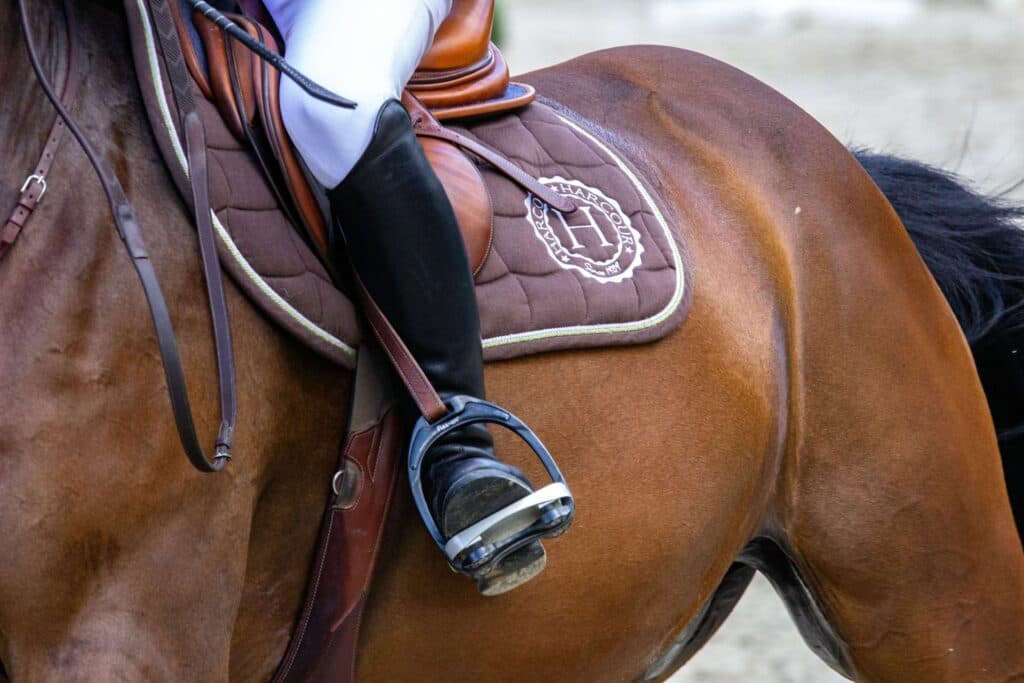 Horse Tonic complementary feed for horses