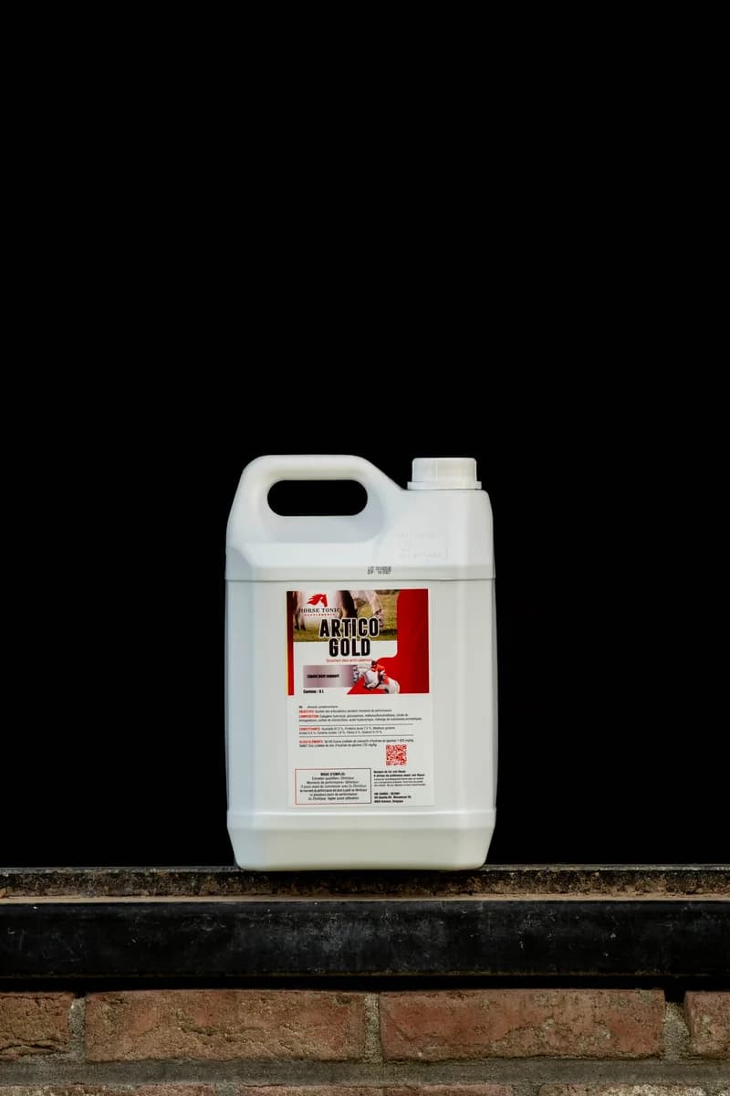 Supplément liquide pour chevaux : pourquoi le liquide fonctionne mieux que la poudre