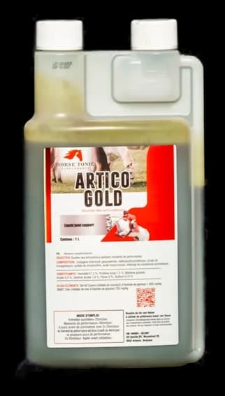 Artico Gold