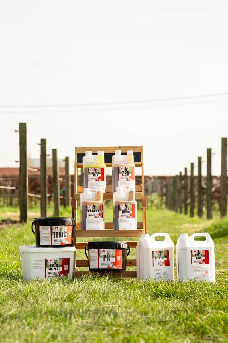 De Horse Tonic productlijn in de weide.